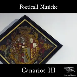 Canarios III