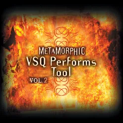 Metamorphic: VSQ Performs Tool, Vol. 2