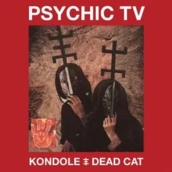 Dead Cat-Long Version