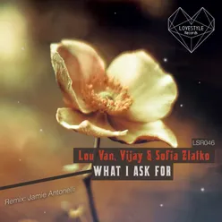 What I Ask For-Jamie Antonelli Remix