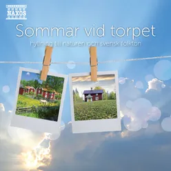 Gotländsk sommarnatt