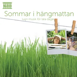 Sommar i hängmattan - Lugn musik för lata dagar