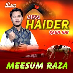 Mera Haider Kaun Hai