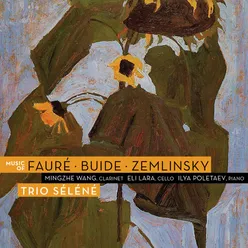 Music of Fauré, Buide, Zemlinsky