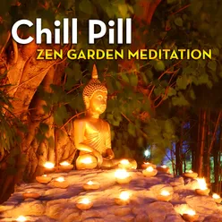 Chill Pill: Zen Garden Meditation