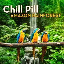 Amazon Waters Relaxation & Meditation