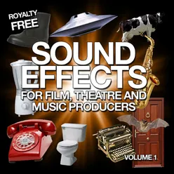 Sound Effects for Film, Theatre and Music Producers - Royalty Free, Vol. 1