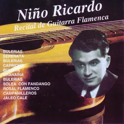 Bulerías-Guitarra Flamenca