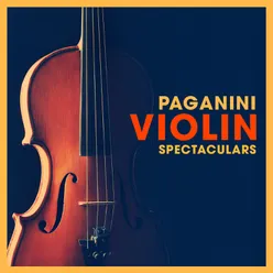 Concerto for Violin and Orchestra in D Major, Op. 35: III. Allegro vivacissimo