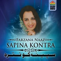 Sapina Kontra, Vol. 5