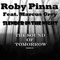 Slender in the Night (Sound of Tomorrow Remix)