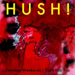 Teenage Weekends (Radio Edit)