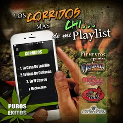 Los Corridos Mas Chi...De Mi Playlist Puros Exitos