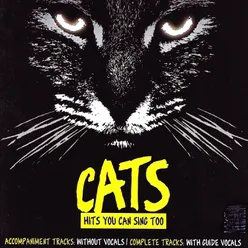 Macavity: The Mystery Cat-Guide Vocals