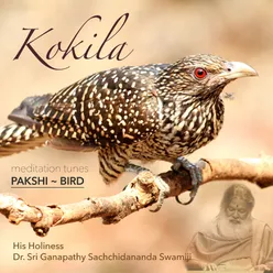 Meditation Tunes - Pakshi / Bird - Kokila