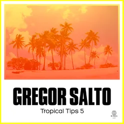 Tropical Tips 5 Album Mix-Gregor Salto Continuous DJ Mix