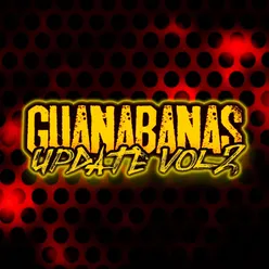 Guanabanas Update, Vol. 2