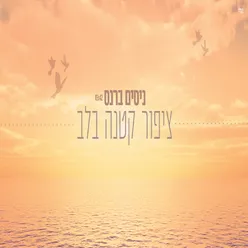 ציפור קטנה בלב