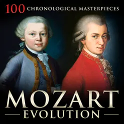 Symphony No. 40 in G Minor, K. 550: I. Molto allegro