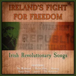 Irelands Fight for Freedom