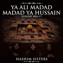 Ya Ali Madad Madad Ya Hussain, Vol. 2016-17