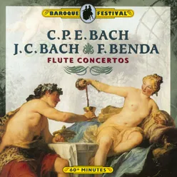 Concerto for Flute, Harpsichord and Strings in E Minor, II:4: I. Allegro