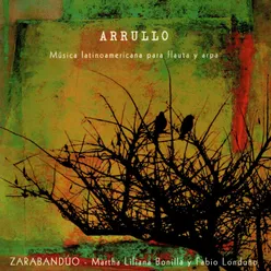 Zarabanda y Son-Instrumental