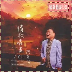 情歌唱盡 金曲合輯