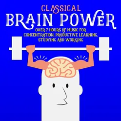 Serenade No. 13 in G Major, K. 525 "Eine kleine Nachtmusik": II. Romance - Andante