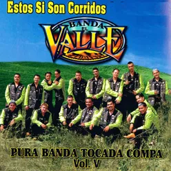 Estos Si Son Corridos "Pura Banda Tocada Compa," Vol. 5