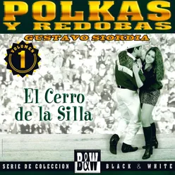 Polkas y Redobas, Vol. 1