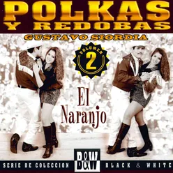 Polkas y Redobas, Vol. 2