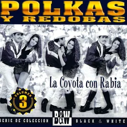 Los Nopalitos