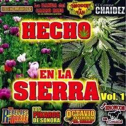 Hecho en la Sierra, Vol. 1