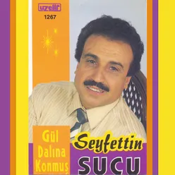 Gül Dalına Konmuş