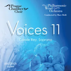 Voices 11