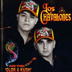 Dos Celulares-Con Tuba