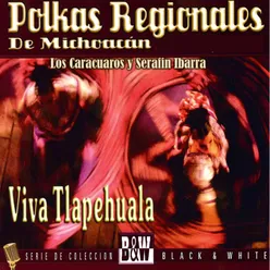Polkas Regionales de Michoacan
