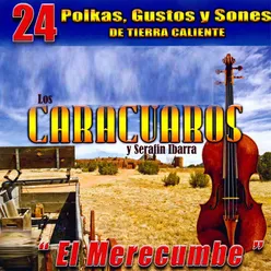 24 Polkas Gustos y Sones de Tierra Caliente