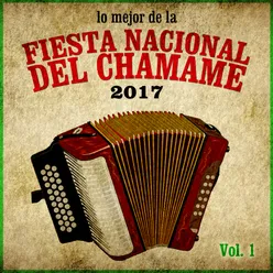 Lo Mejor de la Fiesta Nacional del Chamamé 2017, Vol. 1