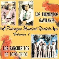 Palenque Musical Norteno, Vol. 1