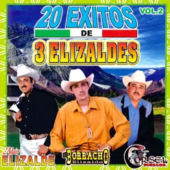 20 Exitos de 3 Elizaldes, Vol. 2