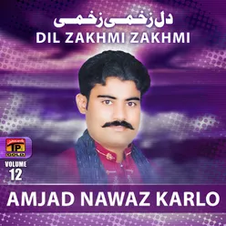 Dil Zakhmi