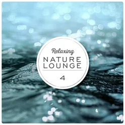 Relaxing Nature Lounge, Vol. 4