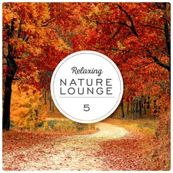 Relaxing Nature Lounge, Vol. 5