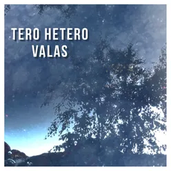 Valas (Radio Edit) - Single