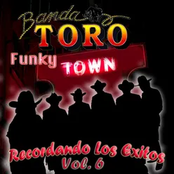 Funky Town Recordando los Exitos, Vol. 6