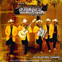 El de Las Flores Durango