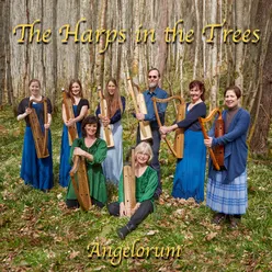 Angelorum - the Harps in the Trees