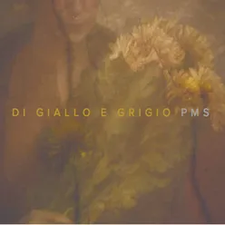 Il cielo gonfio di giallo e grigio